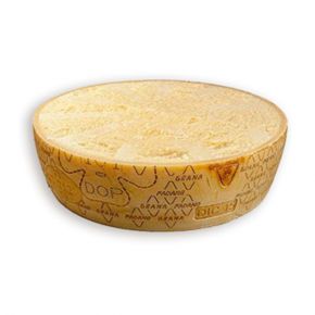 PADANO CEREMONIA MITAD 12 MESES