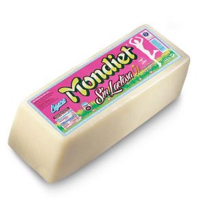 BARRA SIN LACTOSA MONDIET