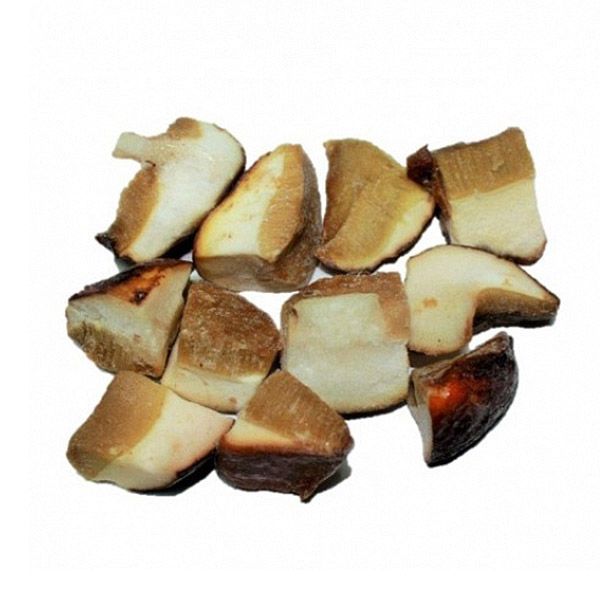 BOLETUS EDULIS CUBO ESP. SALSA